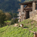 B&B Bellavista - i panorami