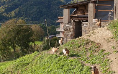 B&B Bellavista - i panorami